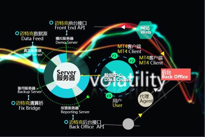 MT5白标解决方案